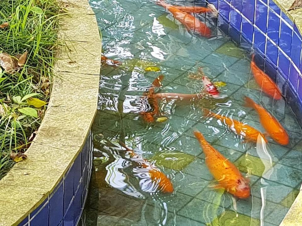 Pousada Morada Das Ilhas Boicucanga Dış mekan fotoğraf
