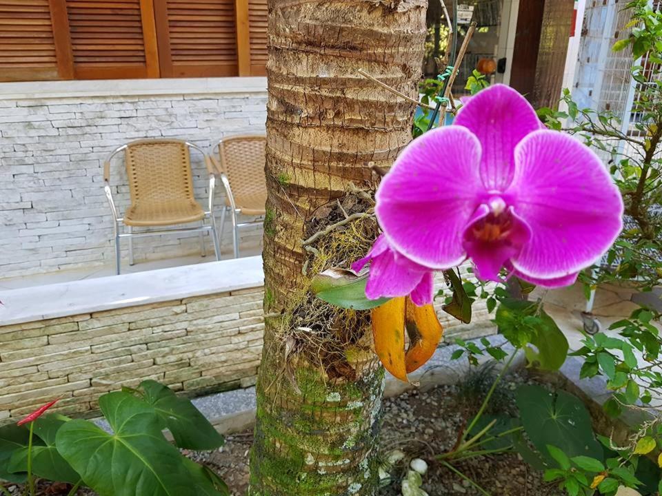 Pousada Morada Das Ilhas Boicucanga Dış mekan fotoğraf